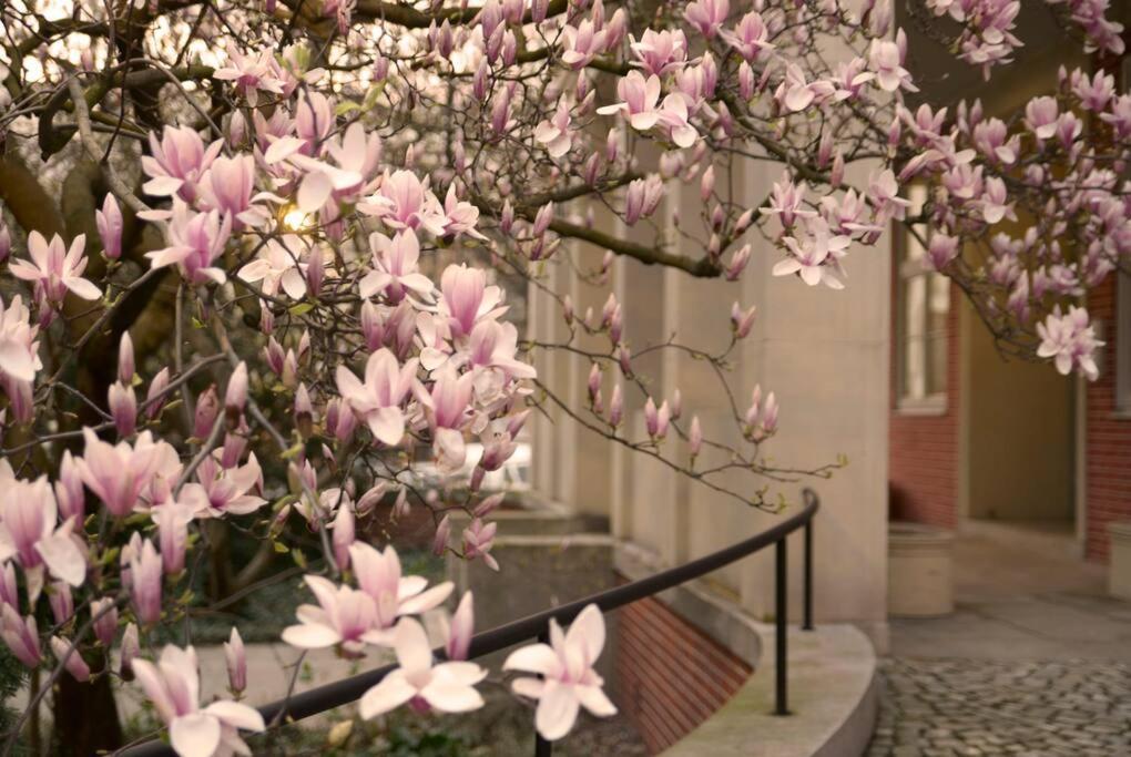 Elegant Apartment In The City Center Wrocław Kültér fotó
